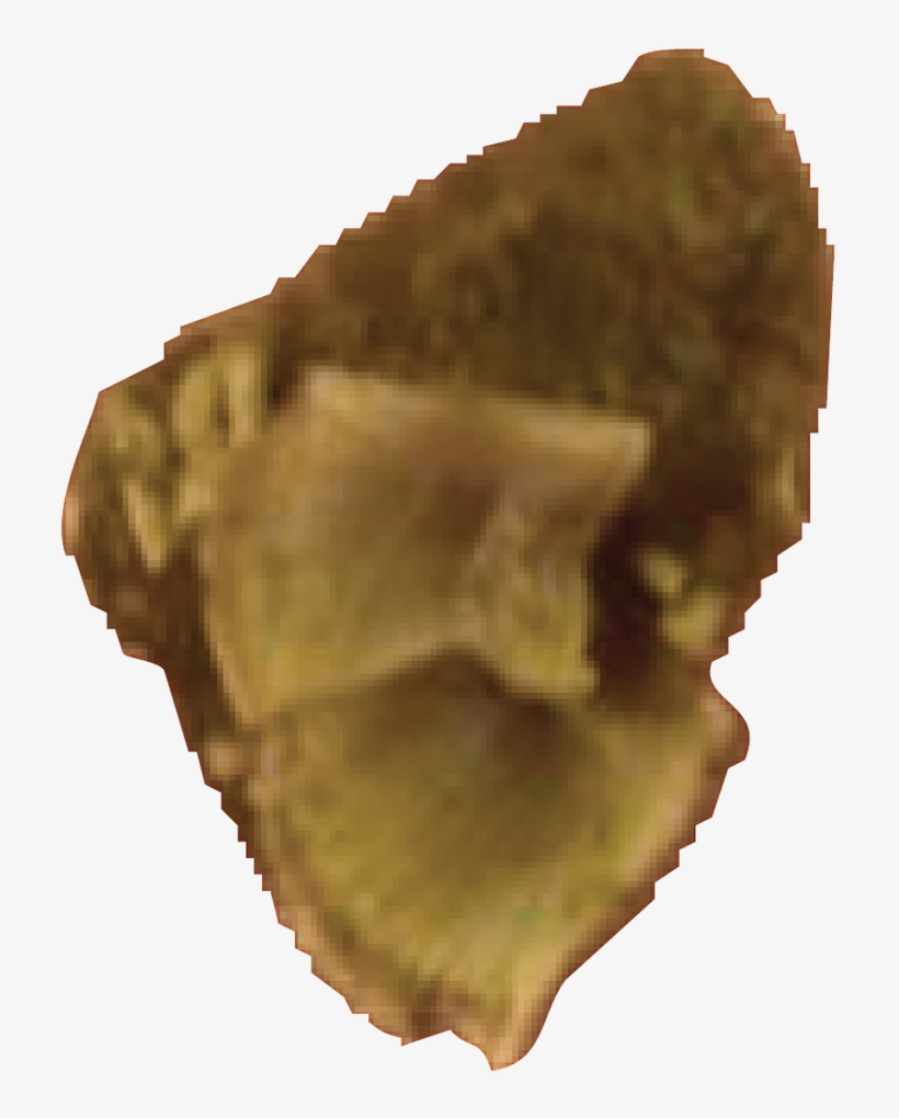Loading Zoom - Curry Puff, transparent png download