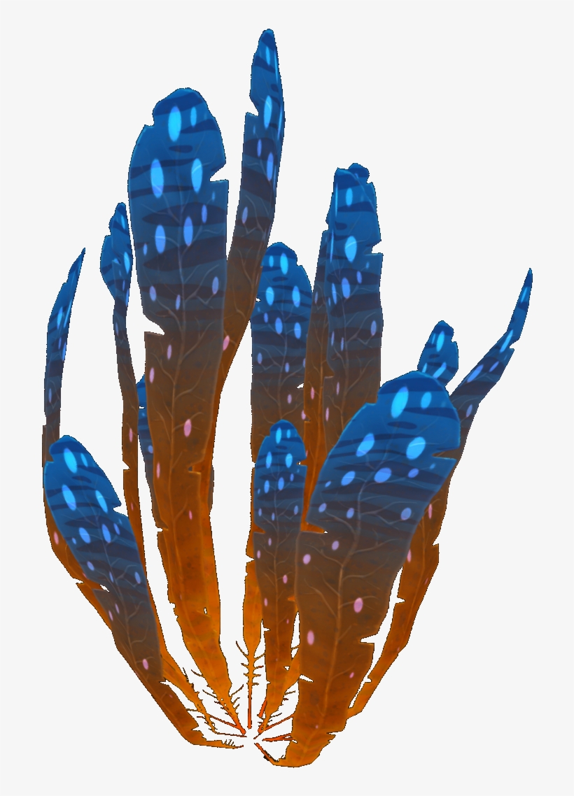 Spotted Dockleaf - Illustration, transparent png download