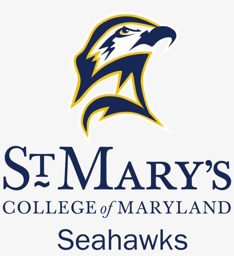 Full Color Navy Text, Png - Graphic Design, transparent png download