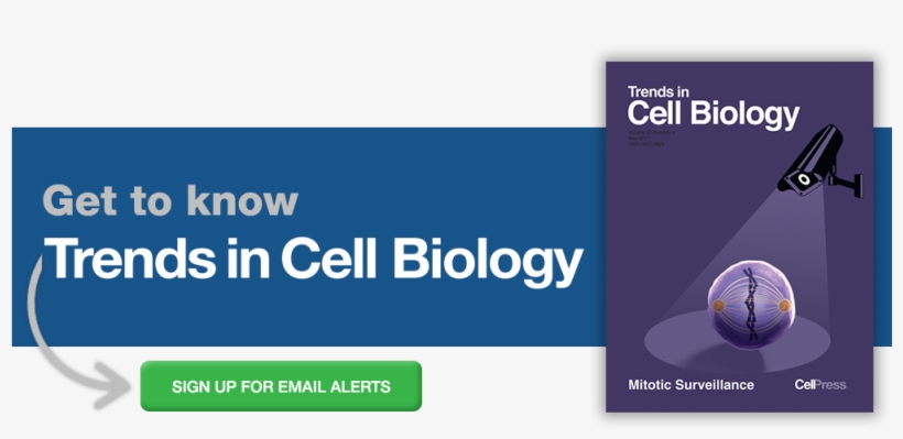 Sign Up For Email Alerts From Trends In Cell Biology - Globe, transparent png download