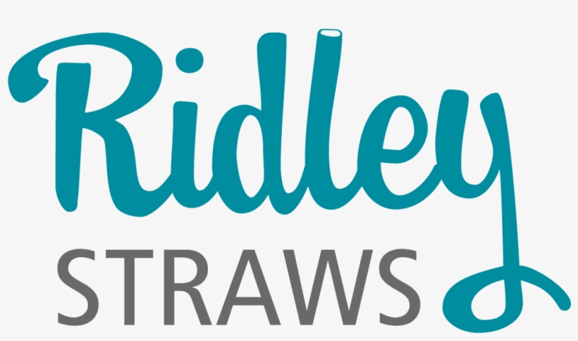 Newsletter - Calligraphy, transparent png download