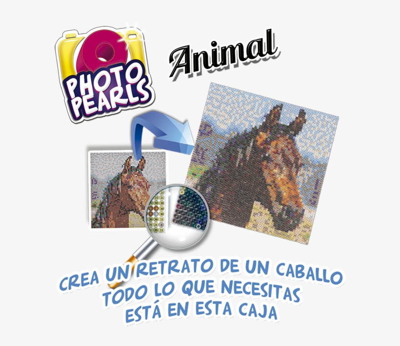 Photopearls Caballo - Poster, transparent png download