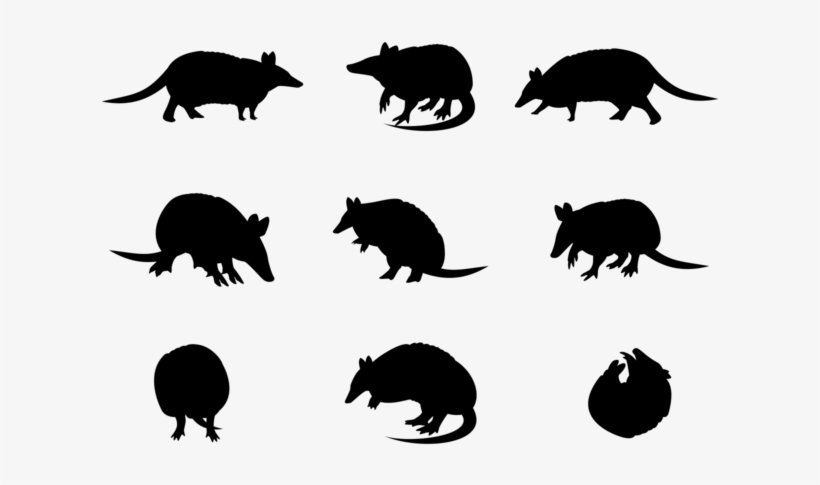 Armadillo Sillhaouttes Vector - Silhouette, transparent png download