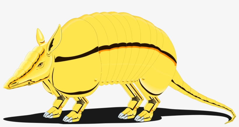 Armadillo 1 Coloring Book Colouring 1979px 433 - Armadillo Png Clip Art, transparent png download