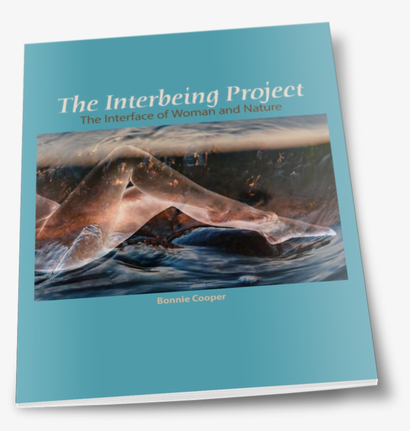 Whale, transparent png download