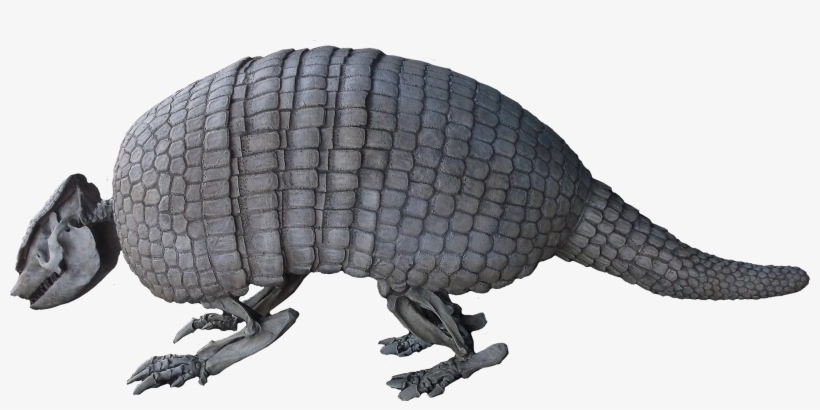 Holmesina Floridanus - Armadillo, transparent png download
