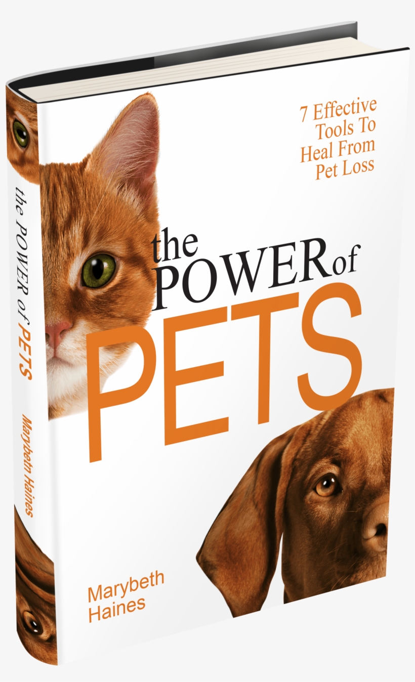 Marybeth Bookcover 3dsingle - Cat Grabs Treat, transparent png download