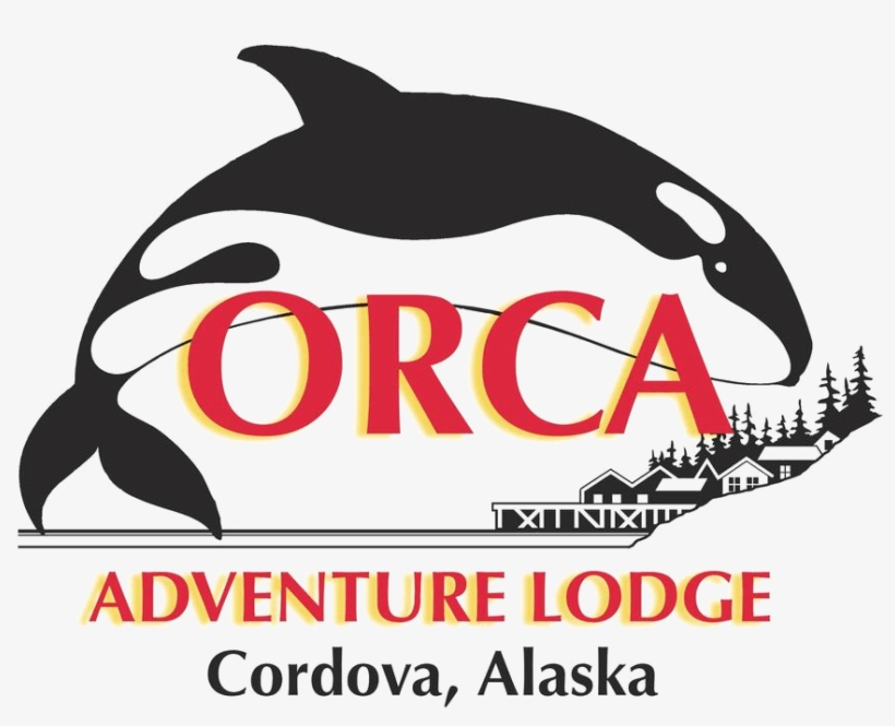 Orca Adventure Lodge - Killer Whale, transparent png download