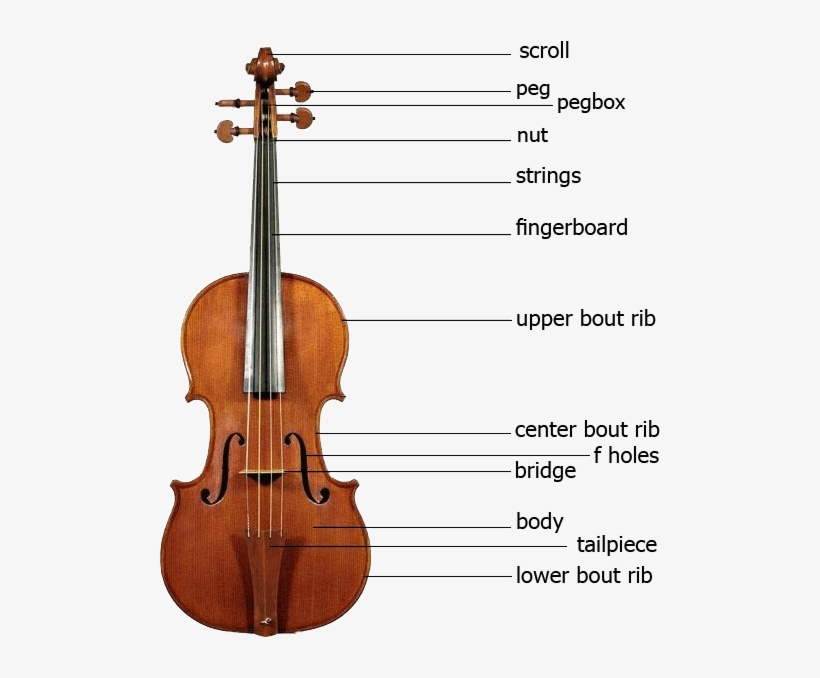 Violin Parts — The Violin 102