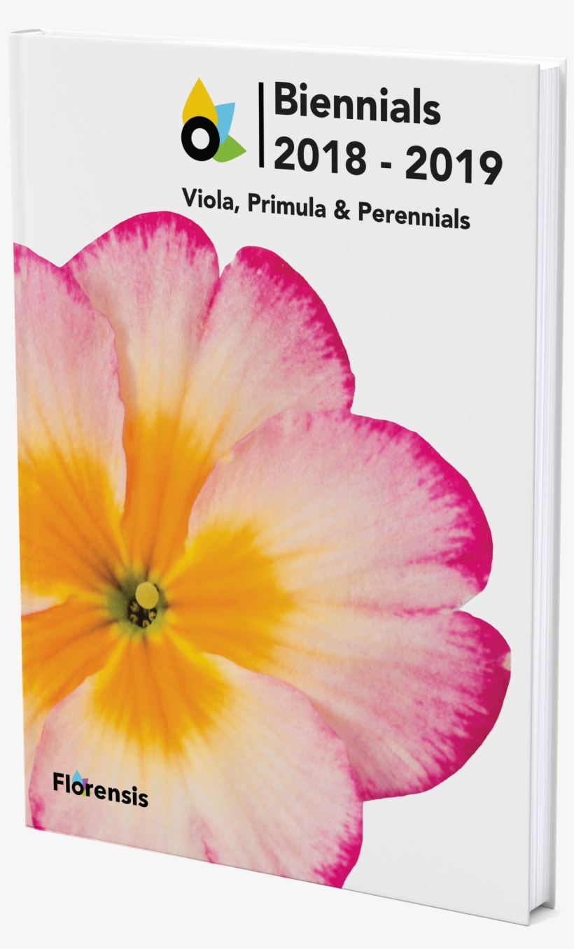 Catalogue - Geranium, transparent png download