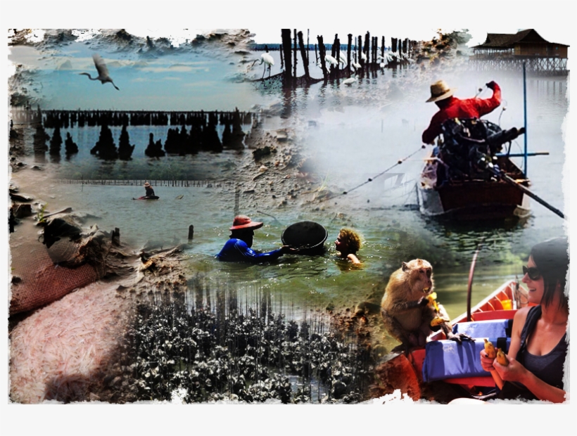 Local Fisherman Reid And His Family Along With Your - Boating, transparent png download