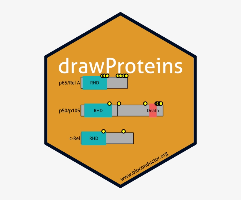 Below Is The R Code That Makes The Sticker - Diagram, transparent png download
