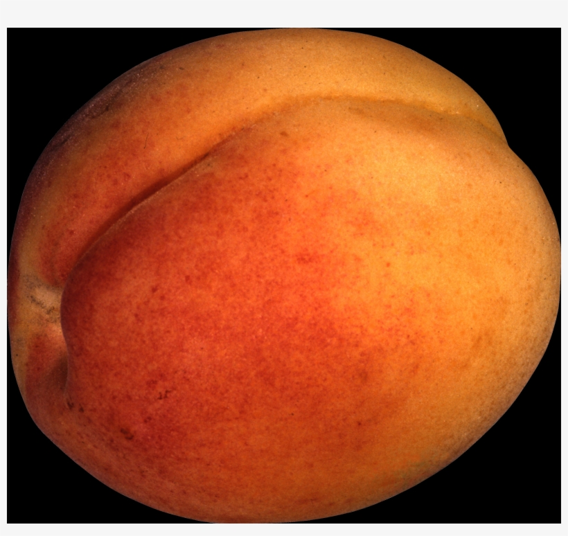 The Peach Is Classified With The Almond In The Subgenus - Peach, transparent png download