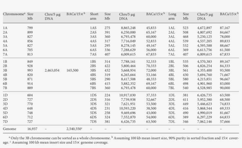 M Olecular Size Of Wheat Chromosomes And Chromosome - Size Chromosome Arms, transparent png download