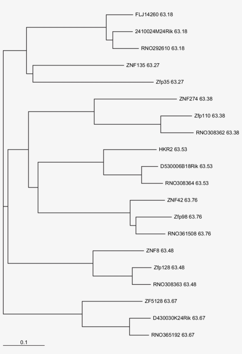 -genes Near The Telomere Of Human Chromosome 19 That - Number, transparent png download