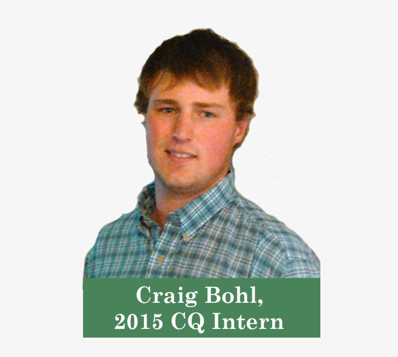 Jointing And First Hollow Stem In Wheat Production - Bridal Party, transparent png download