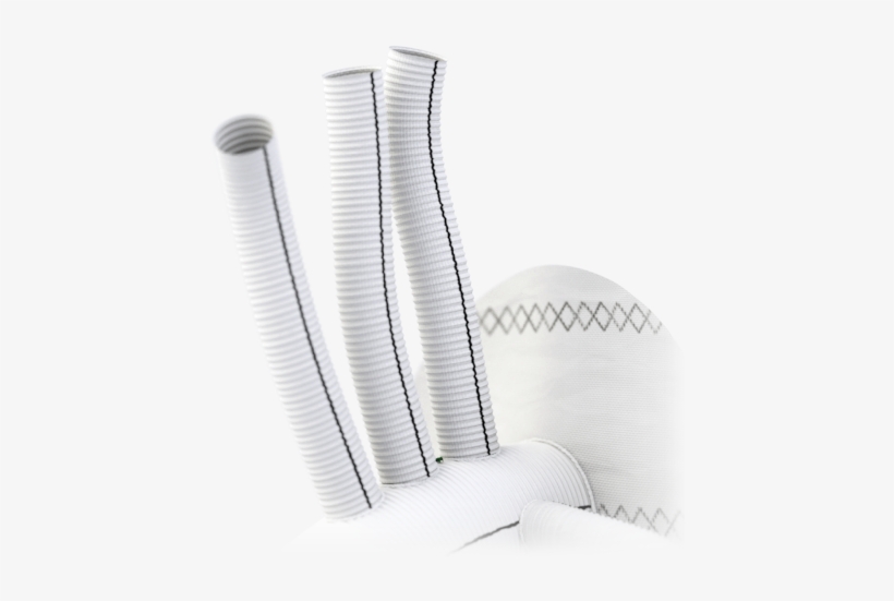 Aortic Arch Plexus - Still Life Photography, transparent png download