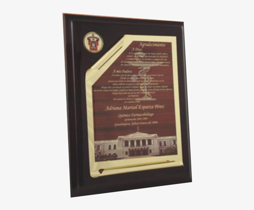 Pergamino - Placa De Reconocimiento A Color, transparent png download