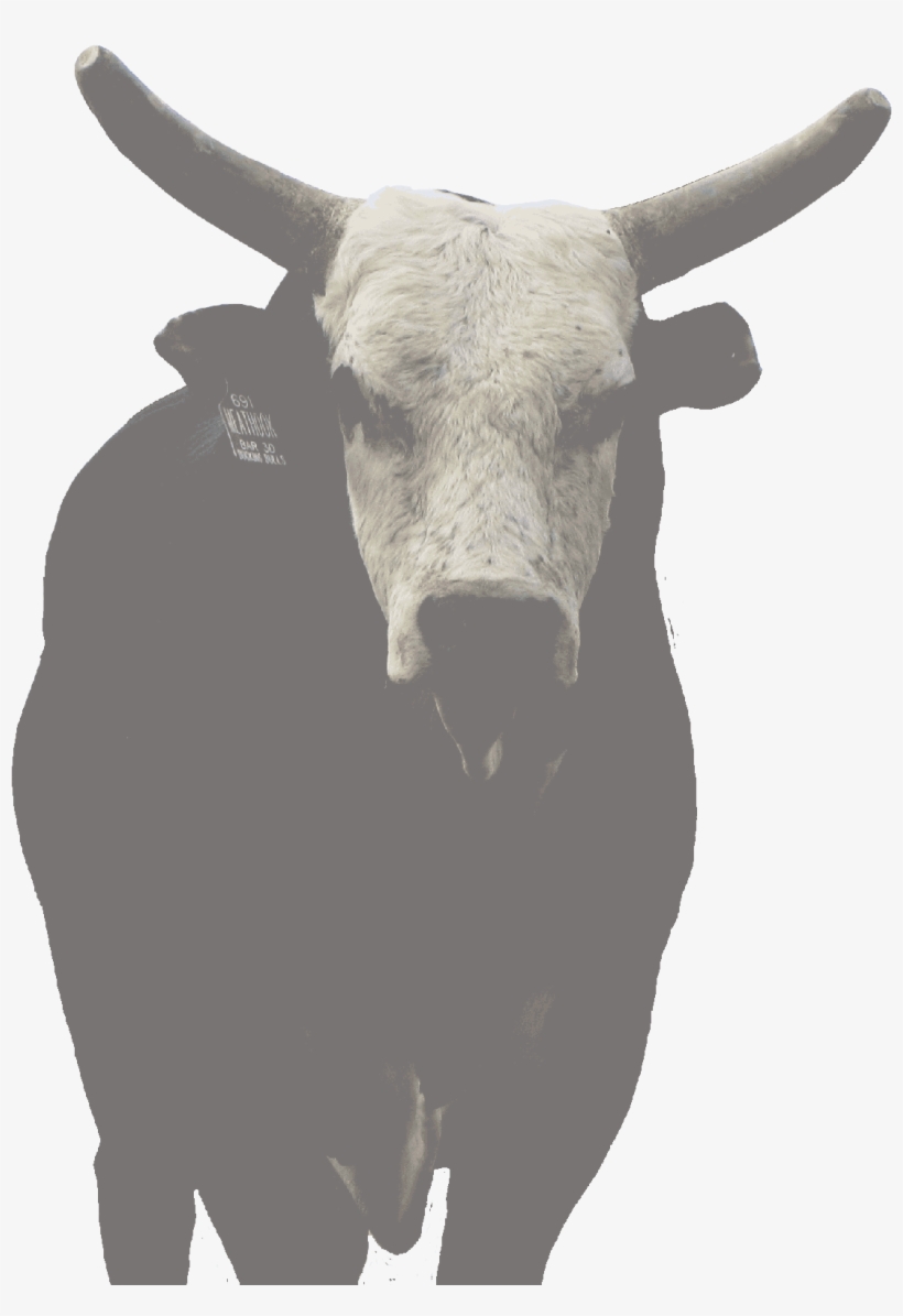 Meat Hook - Horn, transparent png download