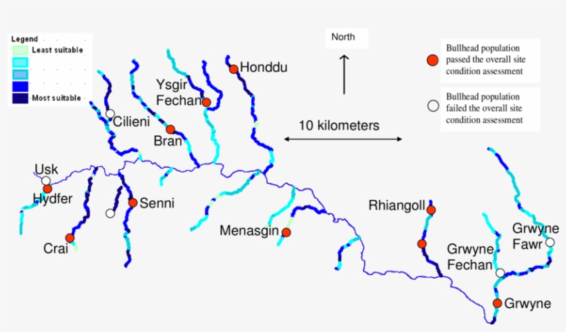Bullhead Physical Habitat Suitability And Population - Map, transparent png download