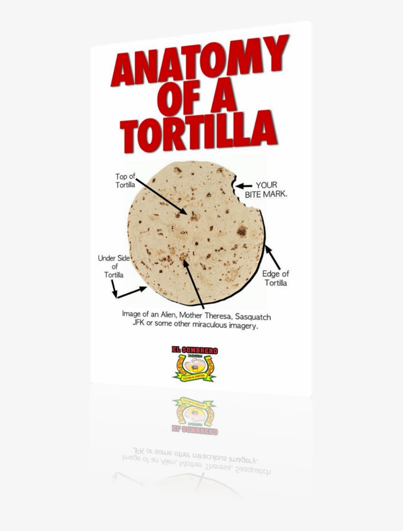 Vign Anatomy Of A Tortilla - Bhakri, transparent png download