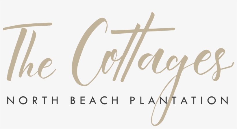 Northbeachplantation - Calligraphy, transparent png download