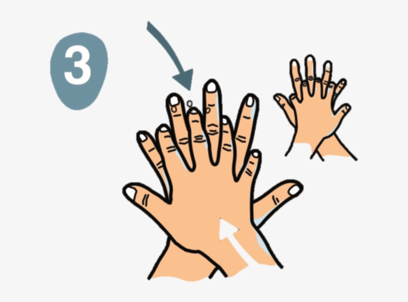 ¿cómo Lavarse Las Manos - Hand Washing, transparent png download