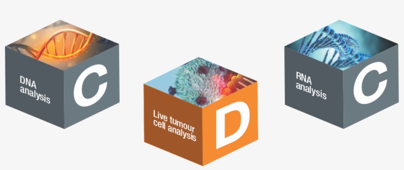 The Tumour And Blood Sample Are Extensively Analysed - Graphic Design, transparent png download