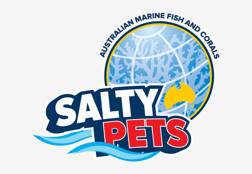Salty Pets Pty Ltd - Illustration, transparent png download