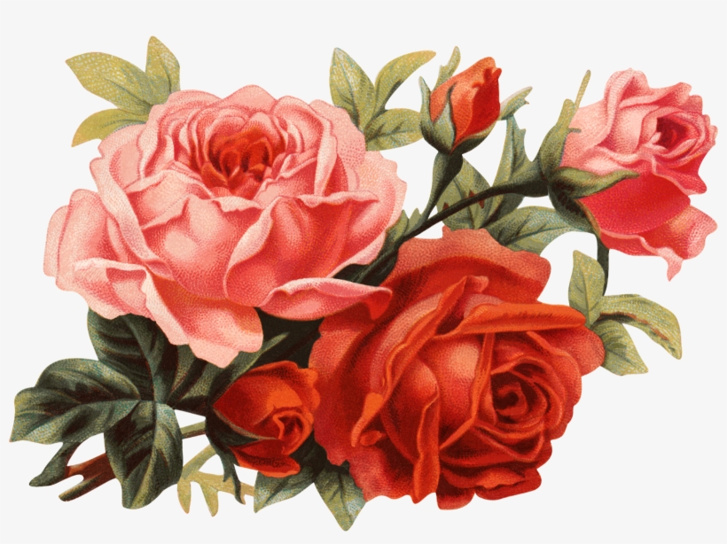 Цветы Пнг, transparent png download