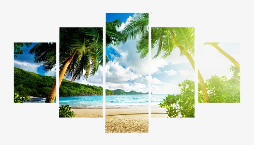 Coconut Tree Beach Canvas Wall Art - Palms Beach, transparent png download