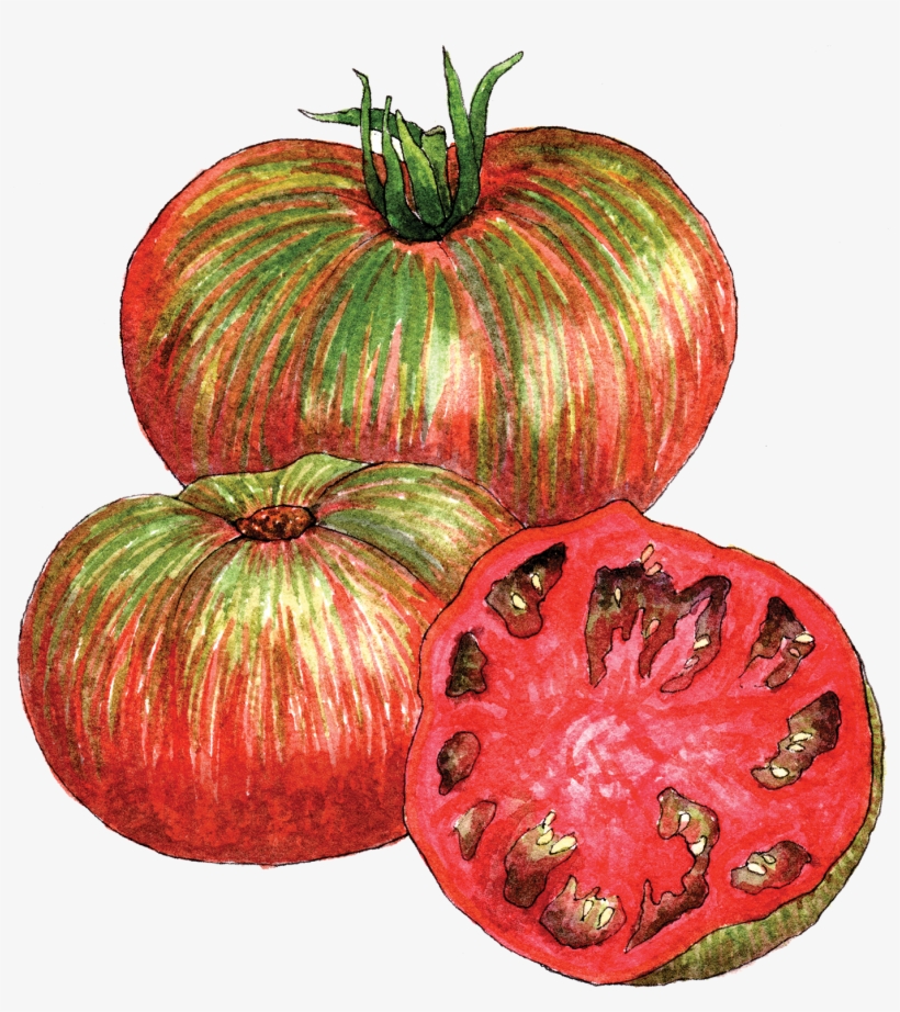 Pink Berkeley Tie Dye Tomato - Tomato, transparent png download