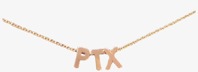 Ptx Rose Gold Necklace - Choker, transparent png download