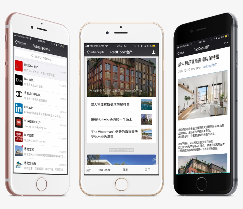 Wechat Project Content - Blog, transparent png download