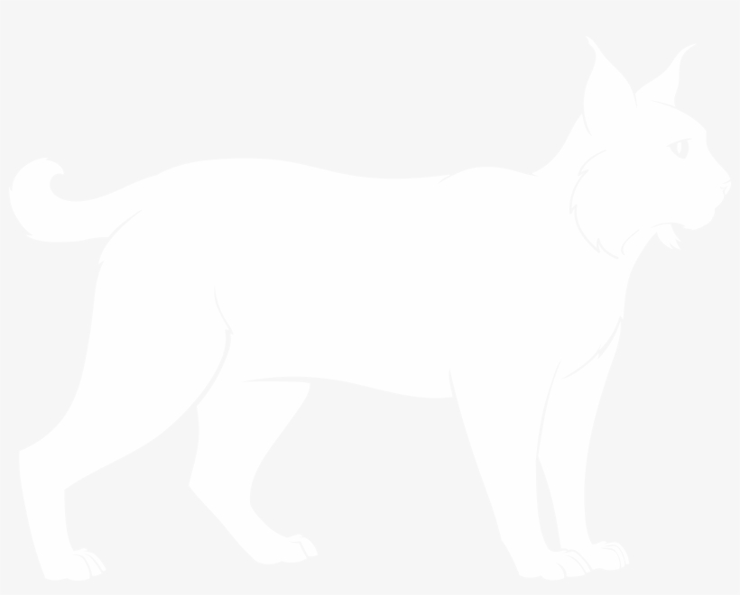 Cat Yawns, transparent png download