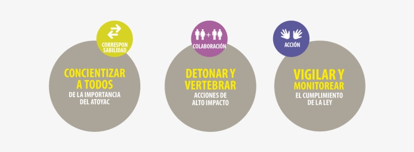 Lupa 04 Dec 2016 - Spanish Quotes, transparent png download