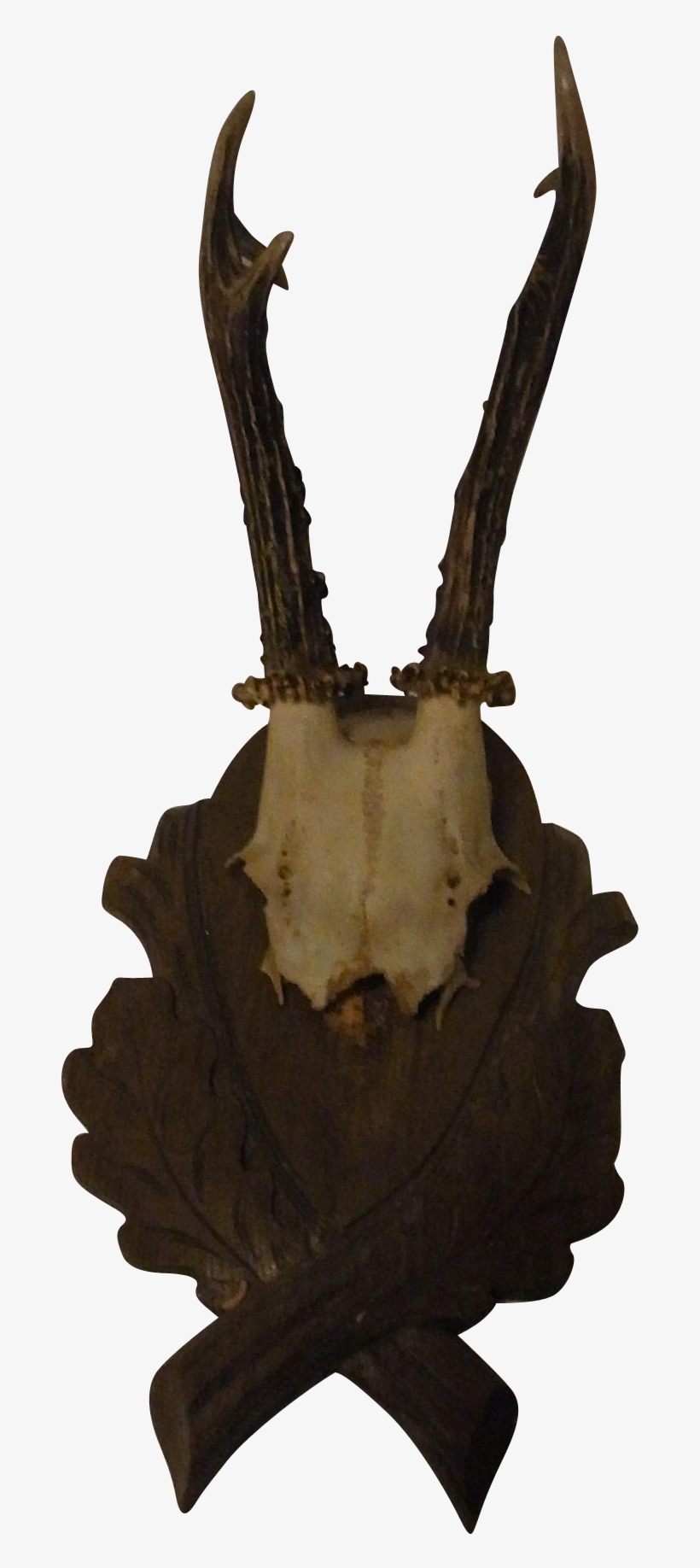 Vintage German Deer Antler Black Forest Wood Base - Antler, transparent png download