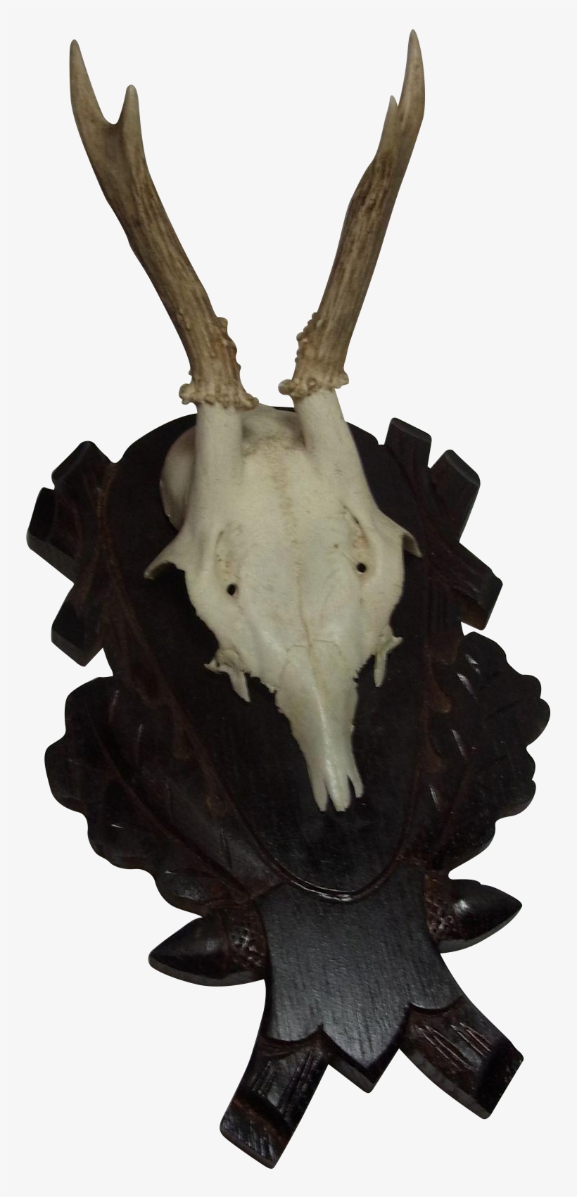 Vintage German Deer Antler Black Forest Wood Base - Reindeer, transparent png download