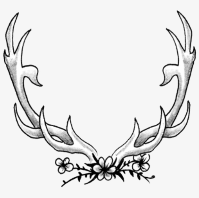 Deer, transparent png download
