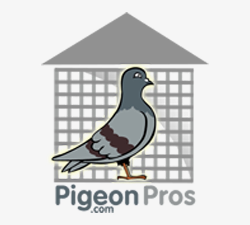 Pigeon Control, Bird Control, Pigeon Removal, For Phoenix - Альбом-планшет Для Монет "10 Рублей, transparent png download