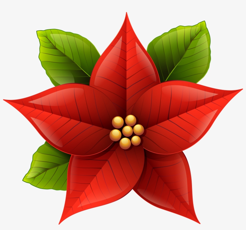 Poinsettia Clip Art Christmas, transparent png download
