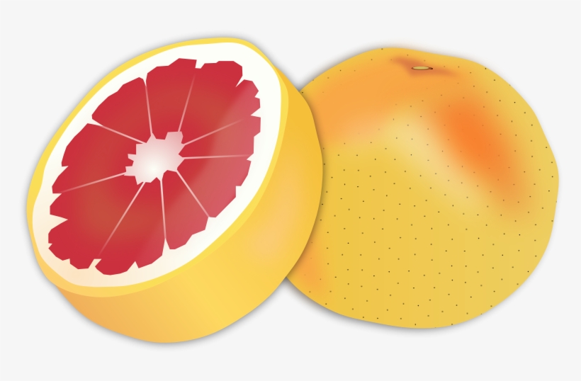 Free Vector Grapefruit - Grapefruit Clipart, transparent png download