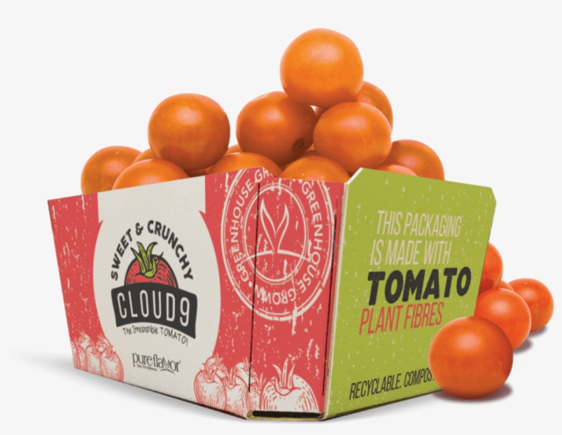 Uk Packaging Consultancy And Turnavisual Partner Thepackhub - Vegetable Fibres In Packaging, transparent png download