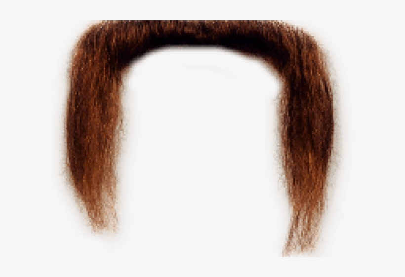 Free On Dumielauxepices Net - Beard, transparent png download