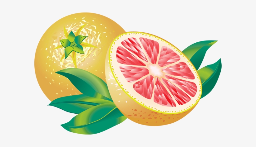 Яндекс - Фотки - Grapefruit Clipart Png, transparent png download