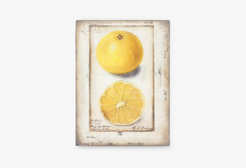 Citron - Artisan's Bench - Sid Dickens Lemon, transparent png download