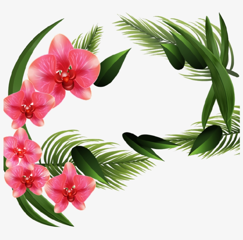 Png Клипарт "realistic Vector Delicate Orchids" - Orquideas Png Vector, transparent png download