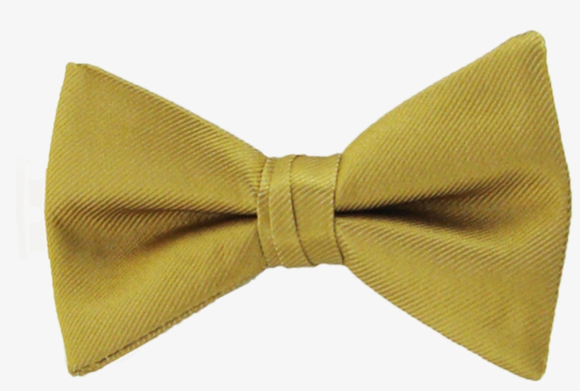 Simply Solid Midas Gold - Paisley, transparent png download