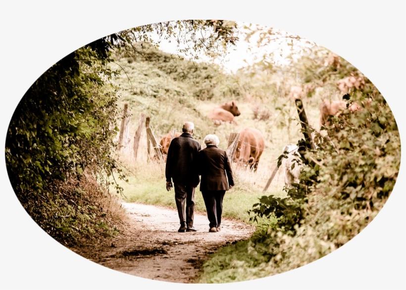 Medicare Part G Is One Of The Most Popular Supplement - Old Couple, transparent png download