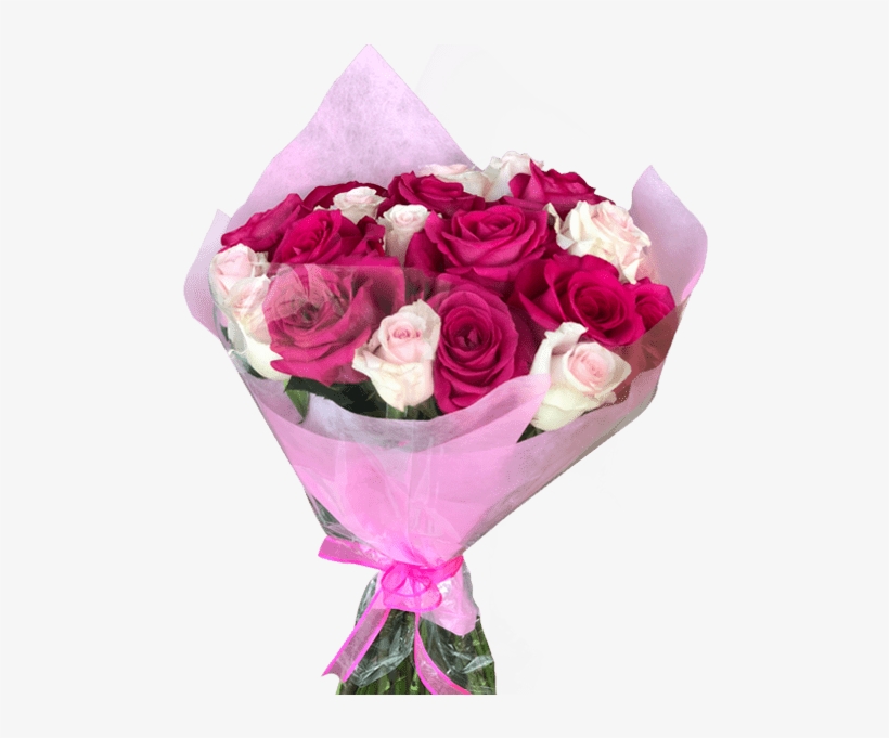 Diy 24 Hot & Light Pink Roses Bouquet Magnaflor - Garden Roses, transparent png download